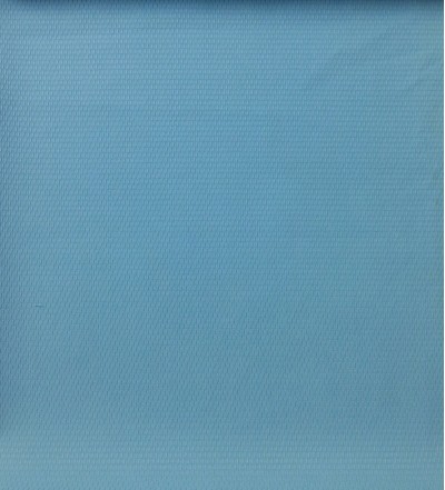 JS ZOYG 消光尼龍塔絲隆提花 正面照